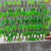 Telescopic Fence Anticorrosive Wood Green Leaf Fence Garden Fence Plastic Fence Protection Outdoor