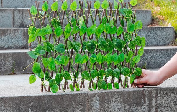 Telescopic Fence Anticorrosive Wood Green Leaf Fence Garden Fence Plastic Fence Protection Outdoor