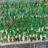 Telescopic Fence Anticorrosive Wood Green Leaf Fence Garden Fence Plastic Fence Protection Outdoor