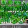 Telescopic Fence Anticorrosive Wood Green Leaf Fence Garden Fence Plastic Fence Protection Outdoor