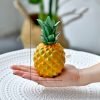 Simple Home Resin Decoration Photography Plants