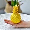 Simple Home Resin Decoration Photography Plants
