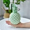 Simple Home Resin Decoration Photography Plants