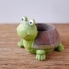 Little Turtle Plants Pot