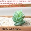 Simulated succulent plants
