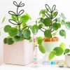 Plant Climbing Frame Climbing Rattan Iron Flower Stand