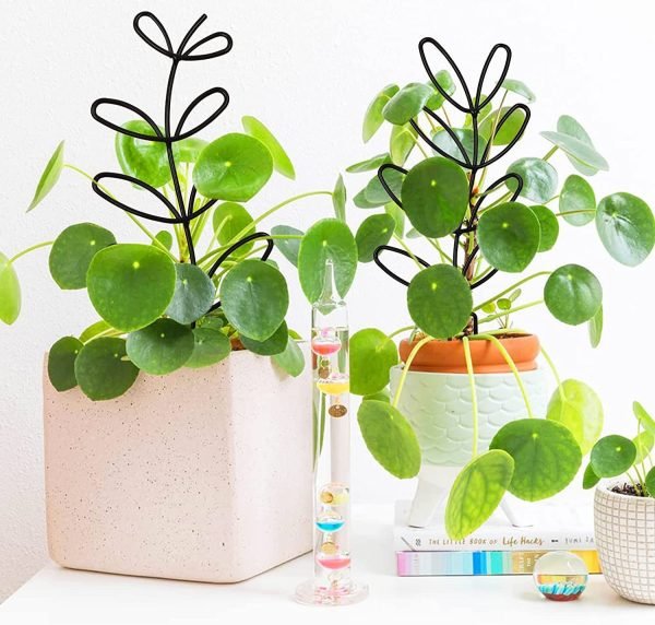 Plant Climbing Frame Climbing Rattan Iron Flower Stand