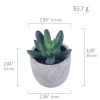Simulation Of Succulent Potted Plants