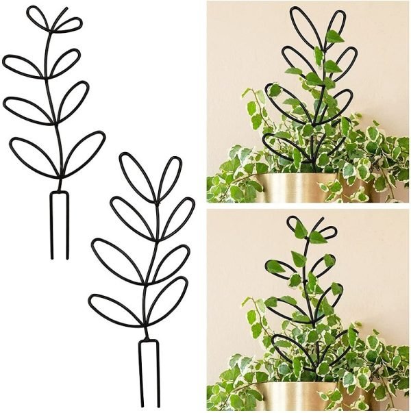 Plant Climbing Frame Climbing Rattan Iron Flower Stand