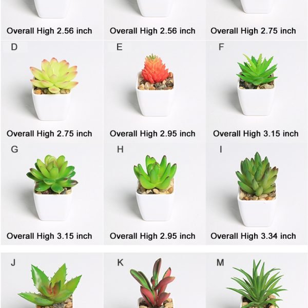 52935096692.jpg Simulated succulents mini potted plants
