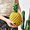 Simple Home Resin Decoration Photography Plants