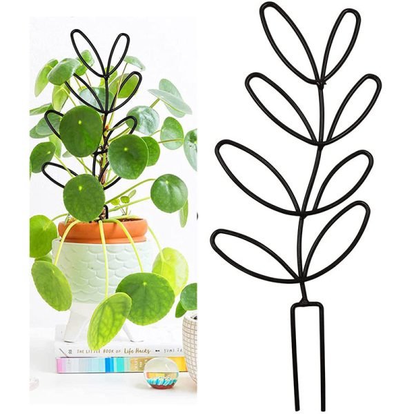 Plant Climbing Frame Climbing Rattan Iron Flower Stand