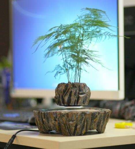 Plants float in air