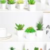 Simulated succulents mini potted plants