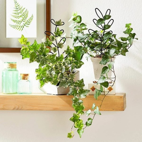 Plant Climbing Frame Climbing Rattan Iron Flower Stand