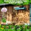 Honey Bee Spray Containing Natural Plant Peppermint Oil