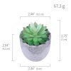Simulation Of Succulent Potted Plants